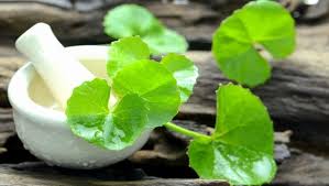 Brahmi Powder